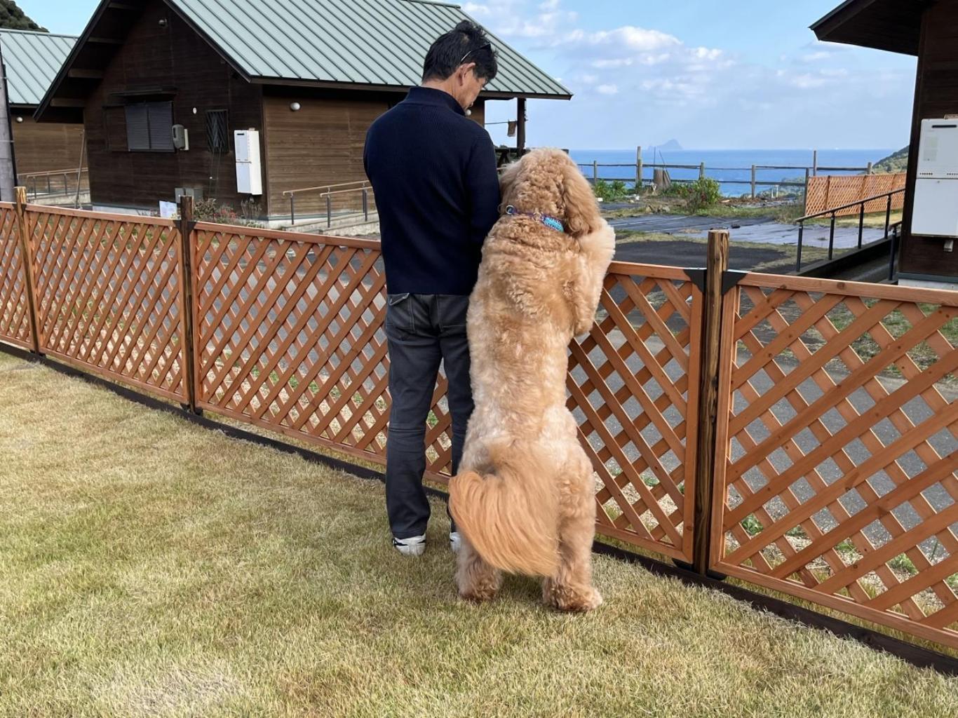舞鶴ふるるファームコテージ Майдзуру Екстер'єр фото